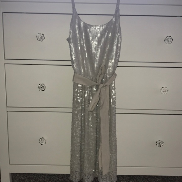 Beautiful Sequin Silver Dress From Express - Picture 3 of 7